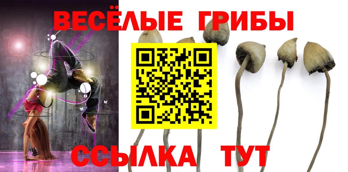 ГАШ Апатиты