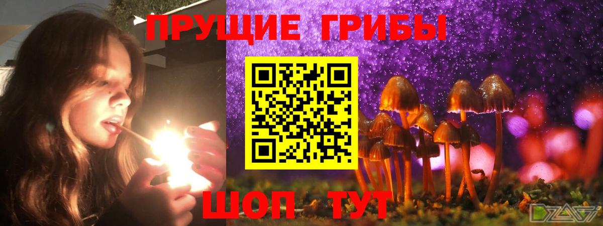 Псилоцибиновые грибы мицелий  Вход с VPN  Апатиты  Галлюциногенные грибы мицелий 